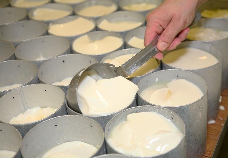 Moulage à la louche du camembert à la fromagerie de Lessay